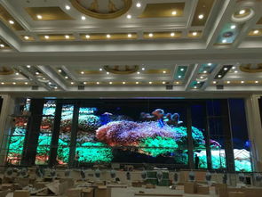 室内P3.91 LED显示屏选购指南 厂家、价格、图片与批发渠道解析